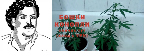 альфа пвп Володарск