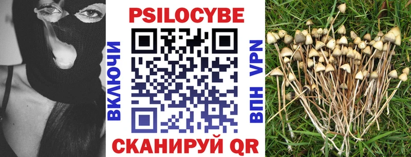 где купить наркоту  Волосово  Псилоцибиновые грибы MAGIC MUSHROOMS 